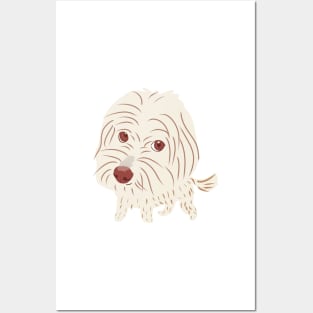 Big Head Maltipoo Dog Posters and Art